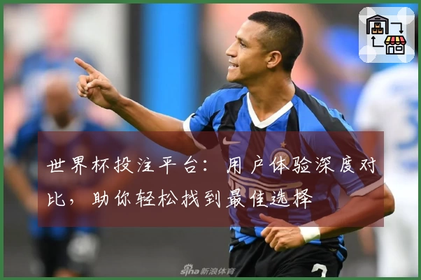 世界杯投注平台：用户体验深度对比，助你轻松找到最佳选择