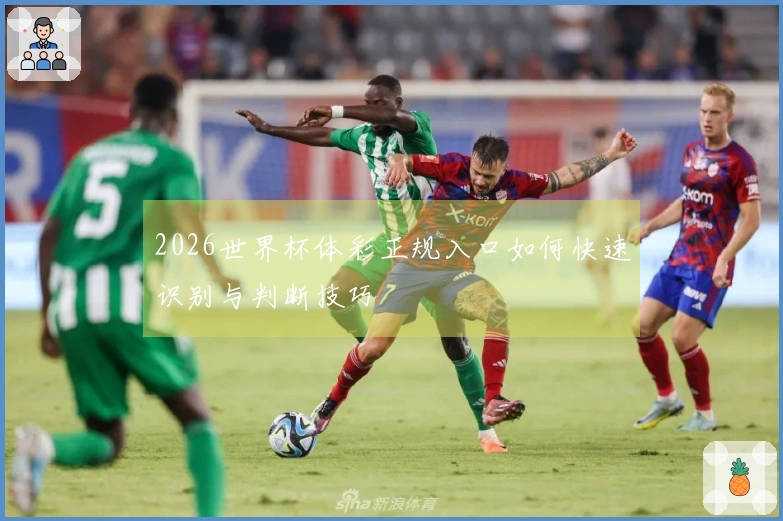 2026世界杯体彩正规入口如何快速识别与判断技巧