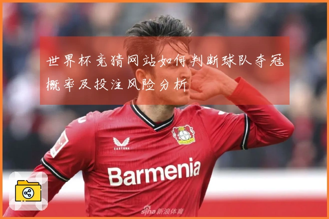 世界杯竞猜网站如何判断球队夺冠概率及投注风险分析