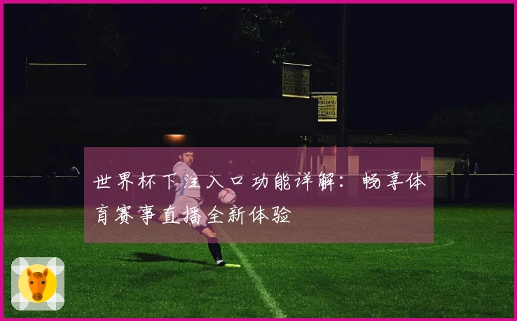 世界杯下注入口功能详解：畅享体育赛事直播全新体验