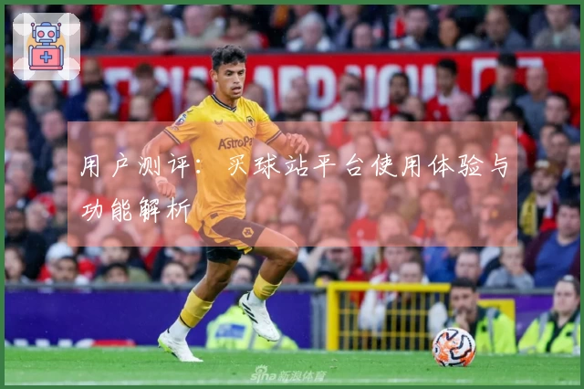 用户测评：买球站平台使用体验与功能解析