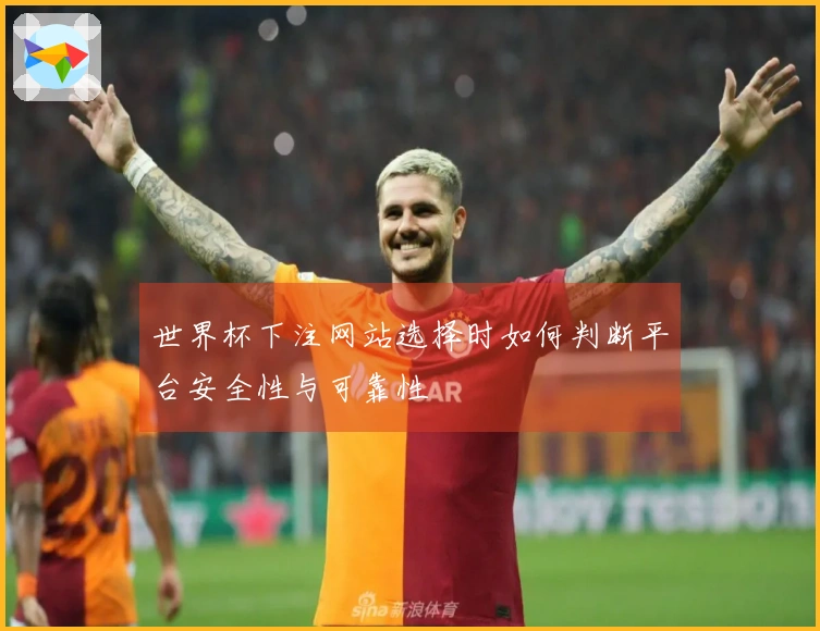 世界杯下注网站选择时如何判断平台安全性与可靠性
