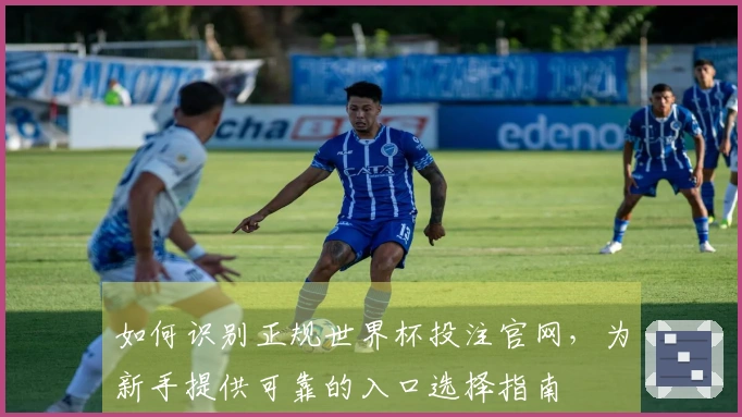 如何识别正规世界杯投注官网，为新手提供可靠的入口选择指南