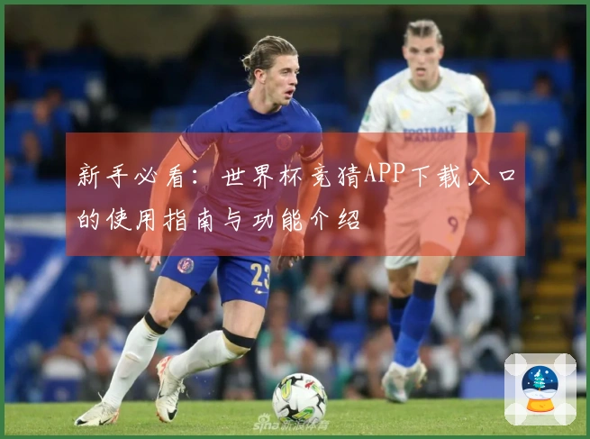 新手必看：世界杯竞猜APP下载入口的使用指南与功能介绍
