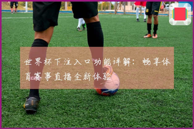世界杯下注入口功能详解：畅享体育赛事直播全新体验