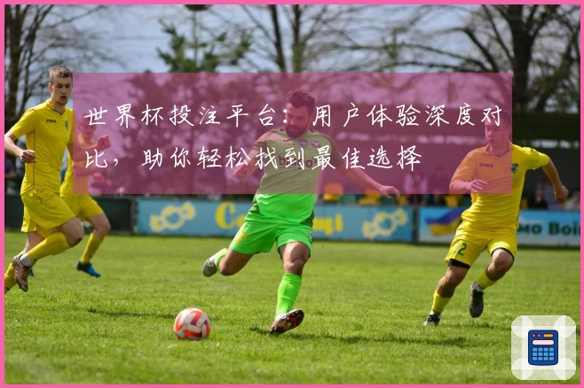 世界杯投注平台：用户体验深度对比，助你轻松找到最佳选择