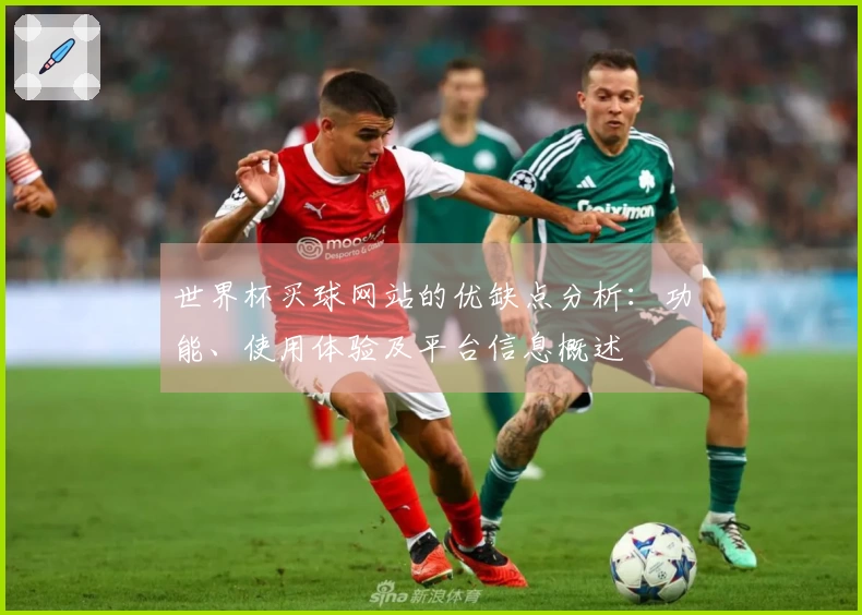世界杯买球网站的优缺点分析:功能、使用体验及平台信息概述